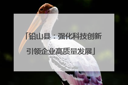 铅山县：强化科技创新 引领企业高质量发展