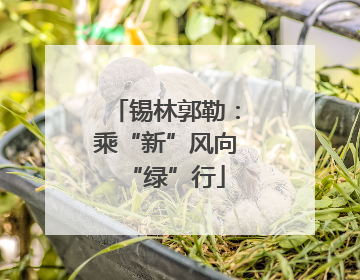锡林郭勒：乘“新”风向“绿”行