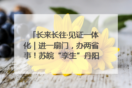 长来长往·见证一体化｜进一扇门，办两省事！苏皖“孪生”丹阳如何做到的？