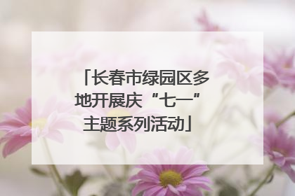长春市绿园区多地开展庆“七一”主题系列活动