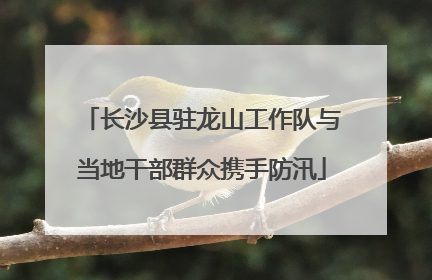 长沙县驻龙山工作队与当地干部群众携手防汛