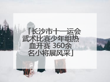 长沙市十一运会武术比赛少年组热血开赛 360余名小将展风采