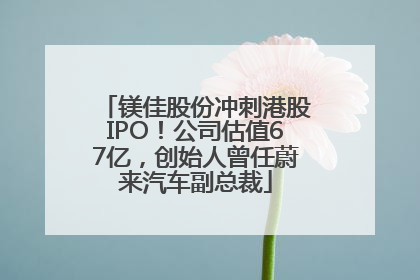 镁佳股份冲刺港股IPO！公司估值67亿，创始人曾任蔚来汽车副总裁