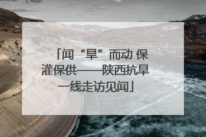 闻“旱”而动 保灌保供——陕西抗旱一线走访见闻