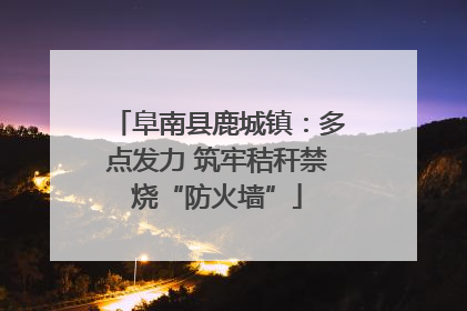 阜南县鹿城镇：多点发力 筑牢秸秆禁烧“防火墙”
