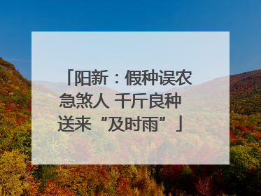 阳新：假种误农急煞人 千斤良种送来“及时雨”
