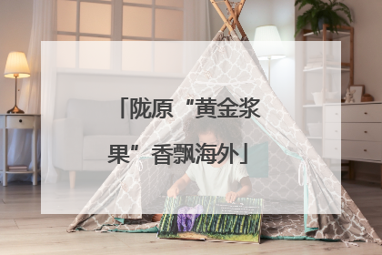 陇原“黄金浆果”香飘海外