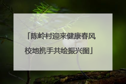陈岭村迎来健康春风 校地携手共绘振兴图