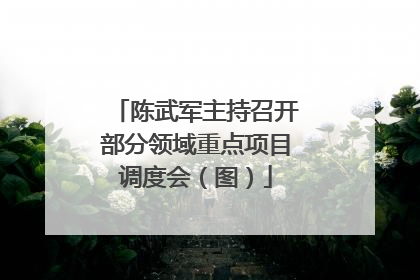 陈武军主持召开部分领域重点项目调度会（图）