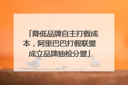 降低品牌自主打假成本，阿里巴巴打假联盟成立品牌抽检分盟