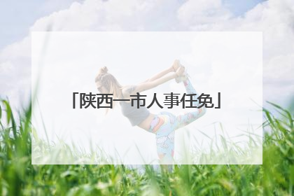 陕西一市人事任免