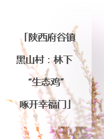 陕西府谷镇黑山村：林下“生态鸡” 啄开幸福门