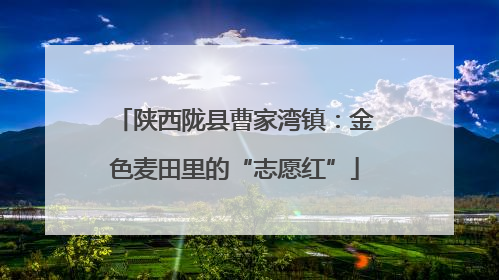 陕西陇县曹家湾镇：金色麦田里的“志愿红”