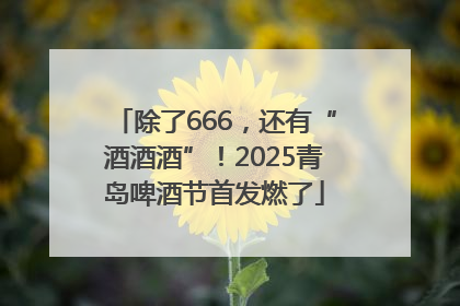 除了666，还有“酒酒酒”！2025青岛啤酒节首发燃了