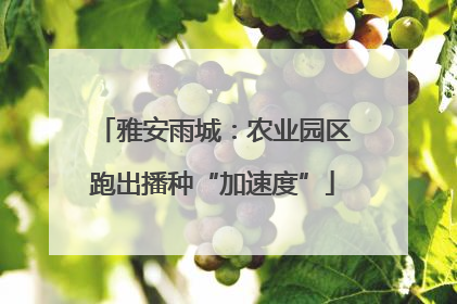 雅安雨城：农业园区跑出播种“加速度”