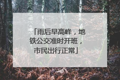 雨后早高峰，地铁公交准时开班，市民出行正常