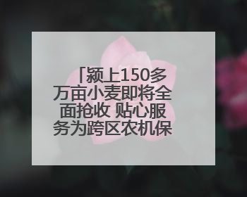 颍上150多万亩小麦即将全面抢收 贴心服务为跨区农机保驾护航