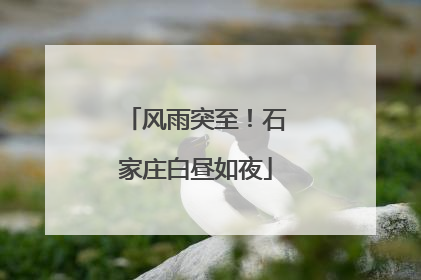 风雨突至！石家庄白昼如夜