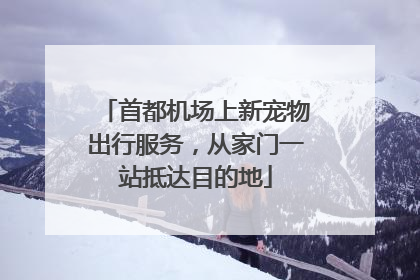 首都机场上新宠物出行服务，从家门一站抵达目的地