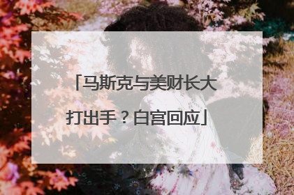 马斯克与美财长大打出手？白宫回应