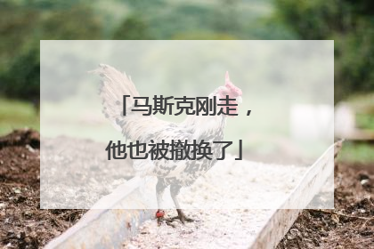 马斯克刚走，他也被撤换了