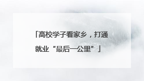 高校学子看家乡，打通就业“最后一公里”