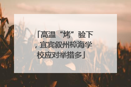 高温“烤”验下，宜宾叙州樟海学校应对举措多