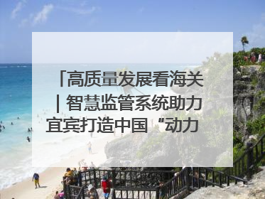 高质量发展看海关｜智慧监管系统助力宜宾打造中国“动力电池之都”