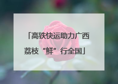 高铁快运助力广西荔枝“鲜”行全国