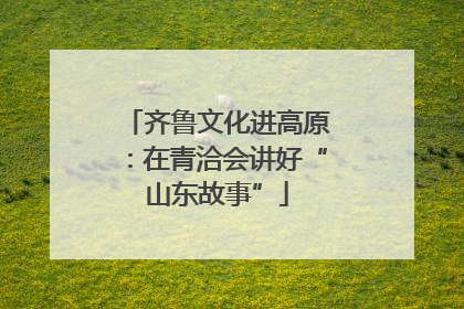 齐鲁文化进高原：在青洽会讲好“山东故事”