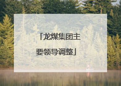 龙煤集团主要领导调整
