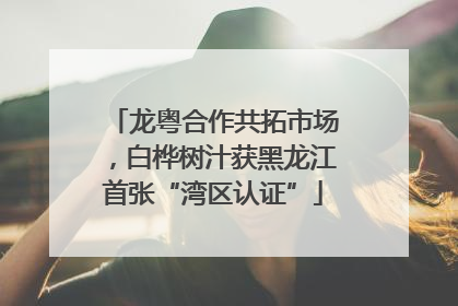 龙粤合作共拓市场，白桦树汁获黑龙江首张“湾区认证”