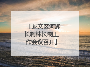 龙文区河湖长制林长制工作会议召开