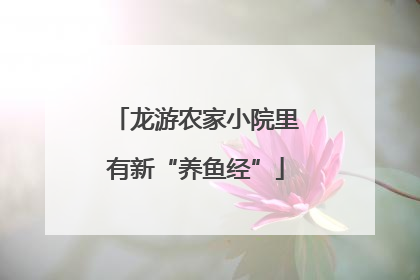 龙游农家小院里有新“养鱼经”