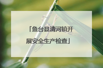 鱼台县清河镇开展安全生产检查