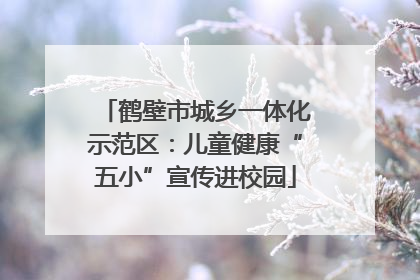 鹤壁市城乡一体化示范区：儿童健康“五小”宣传进校园