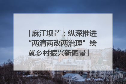 麻江坝芒：纵深推进“两清两改两治理”绘就乡村振兴新图景