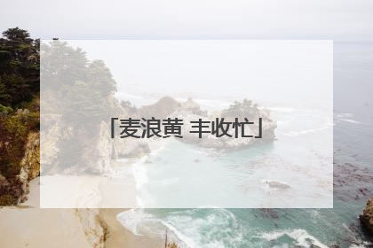 麦浪黄 丰收忙