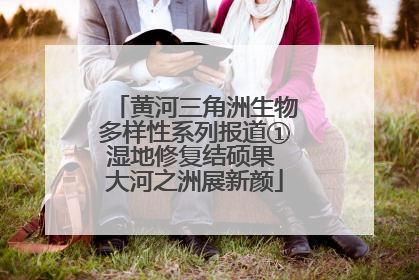 黄河三角洲生物多样性系列报道①湿地修复结硕果 大河之洲展新颜