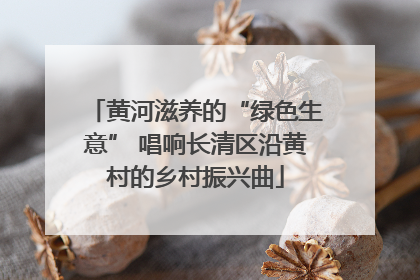 黄河滋养的“绿色生意” 唱响长清区沿黄村的乡村振兴曲