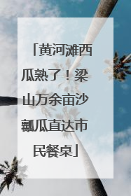 黄河滩西瓜熟了！梁山万余亩沙瓤瓜直达市民餐桌