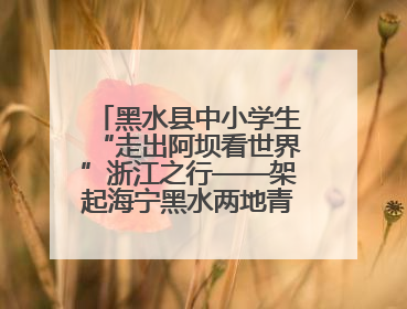 黑水县中小学生“走出阿坝看世界”浙江之行——架起海宁黑水两地青少年交往交流交融新桥梁