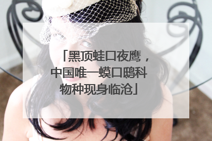 黑顶蛙口夜鹰，中国唯一蟆口鸱科物种现身临沧