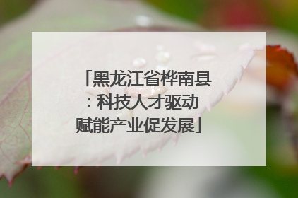 黑龙江省桦南县：科技人才驱动 赋能产业促发展