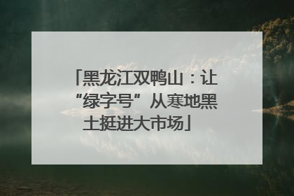 黑龙江双鸭山：让“绿字号”从寒地黑土挺进大市场