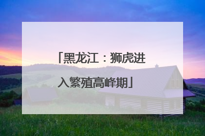 黑龙江：狮虎进入繁殖高峰期