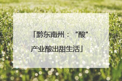 黔东南州：“酸”产业酿出甜生活