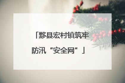 黟县宏村镇筑牢防汛“安全网”
