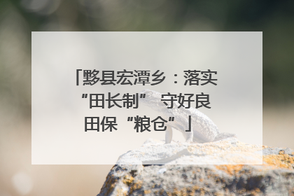 黟县宏潭乡：落实“田长制” 守好良田保“粮仓”