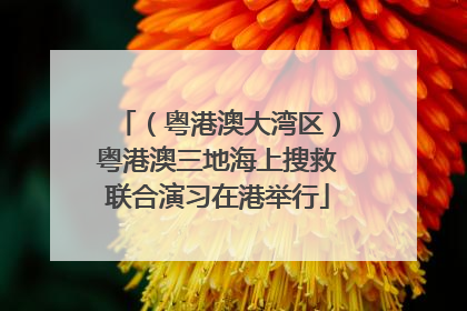 （粤港澳大湾区）粤港澳三地海上搜救联合演习在港举行